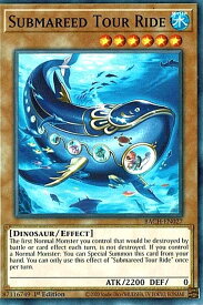 card537144-series408513-rarity540534