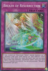 card537639-series409275-rarity540535