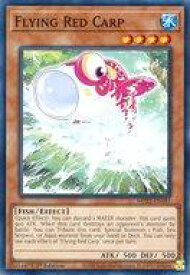 card548762-series373168-rarity540534