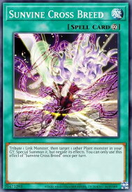 card555954-series373168-rarity540535