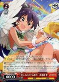 card558360-series430341-rarity557246