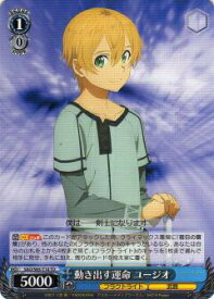 card571312-series443639-rarity557066