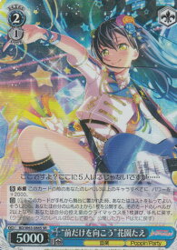 card572229-series444553-rarity557104