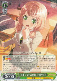 card572380-series444553-rarity557275