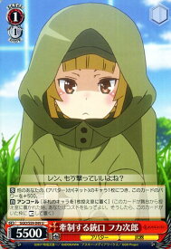 card573366-series445649-rarity557246