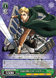 card576608-series449021-rarity557246