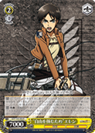 card576620-series449021-rarity557285