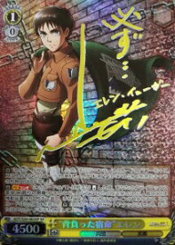 card576663-series449021-rarity557067