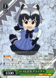 card576896-series449332-rarity557275