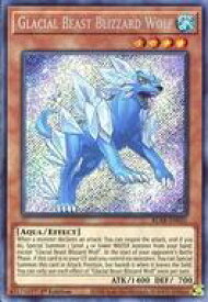 card577565-series377941-rarity540537