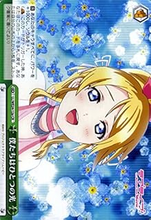 card581027-series453698-rarity557250