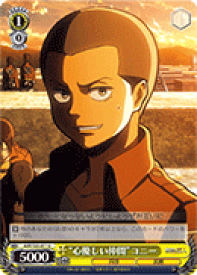 card582068-series454643-rarity557246