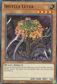 card591249-series377251-rarity540534