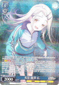 card520043-series469399-rarity557136