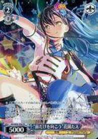 card572229-series469692-rarity557136