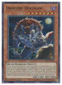 card599418-series474497-rarity540535