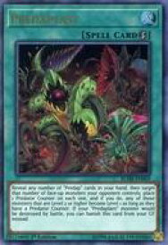 card599504-series377496-rarity540536