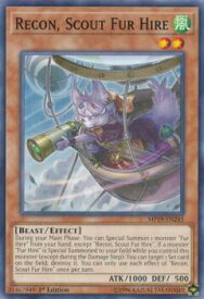 card599942-series378503-rarity540534