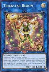 card600116-series378504-rarity540534