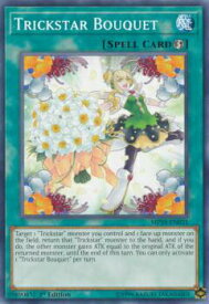 card600117-series378503-rarity540534