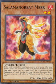 card600252-series474497-rarity540534