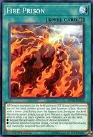 card600310-series476054-rarity540534