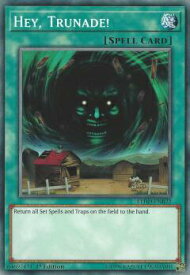 card600325-series377498-rarity540534