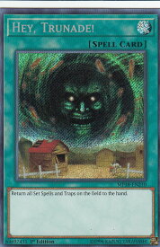 card600325-series476054-rarity540537