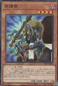 card2939-series6538-rarity1