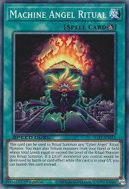 card603295-series378099-rarity540534