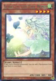 card604129-series481805-rarity540551