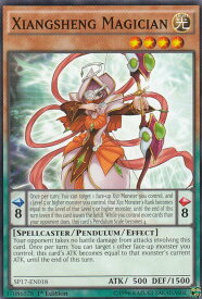 card604585-series481828-rarity550004