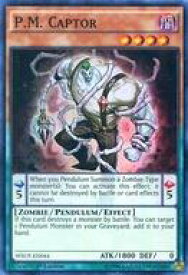 card604782-series483920-rarity540535