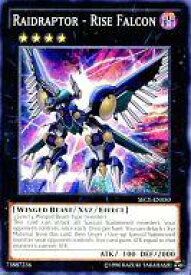 card604924-series484194-rarity540534