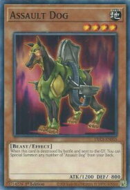 card605314-series377948-rarity540534