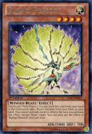 card605409-series485752-rarity540551