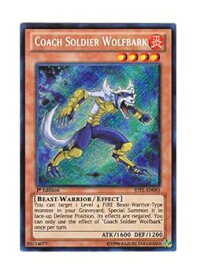 card605664-series486347-rarity540537