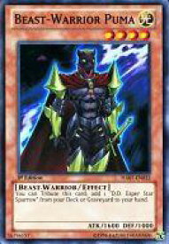 card605936-series487097-rarity540535