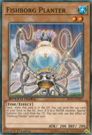 card606101-series478115-rarity540534