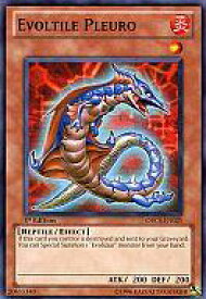 card606553-series488661-rarity540534