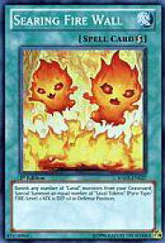 card606930-series489256-rarity540535