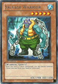 card607004-series373152-rarity540551