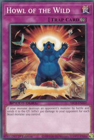 card607440-series377491-rarity540534