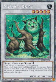 card607557-series375148-rarity540541