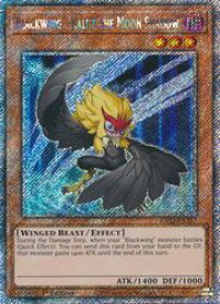 card608093-series375148-rarity540539