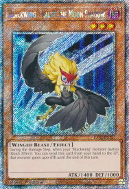 card608093-series375148-rarity540541