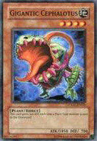 card608327-series377785-rarity540534