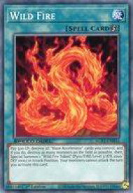 card609087-series378099-rarity540534