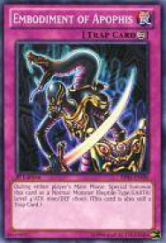 card609632-series377723-rarity540534
