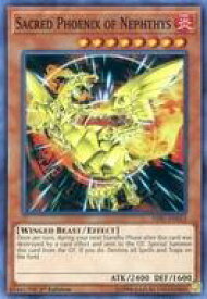 card715037-series377528-rarity540535